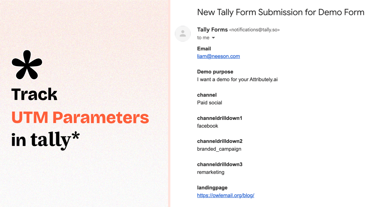 How to Track UTM Parameters in Tally Forms