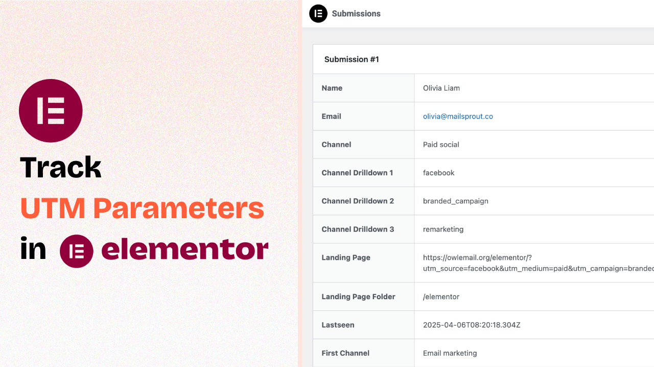 How to Track UTM Parameters in Elementor Forms